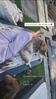 Charissa Thompson feet photo 5