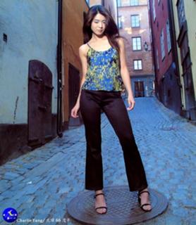 Charlie Yeung feet photo 18