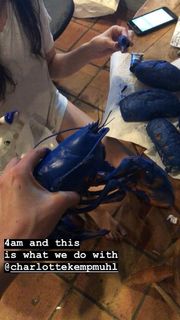 Charlotte Kemp Muhl feet photo 1