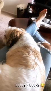 Charly Arnolt feet photo thumbnail