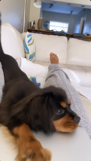 Charly Arnolt feet photo thumbnail