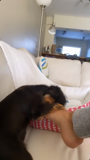 Charly Arnolt feet photo thumbnail