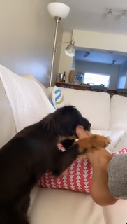 Charly Arnolt feet photo thumbnail