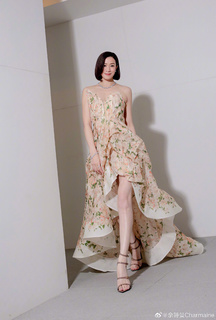 Charmaine Sheh feet photo 18