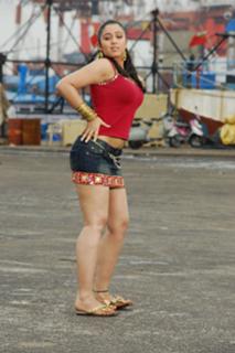 Charmi Kaur feet photo 11