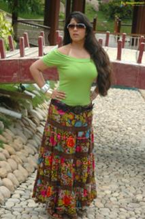 Charmi Kaur feet photo 1