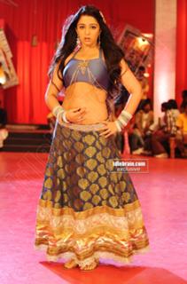 Charmi Kaur feet photo 11
