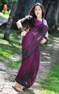 Charmi Kaur feet photo 5