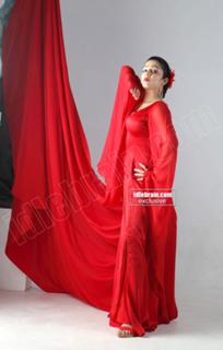 Charmi Kaur feet photo 9