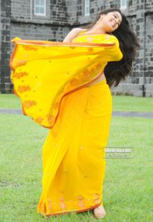 Charmi Kaur feet photo 5