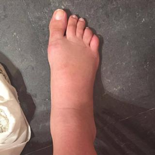 Chechu Bonelli feet photo 8
