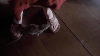 Chelah Horsdal feet photo 10