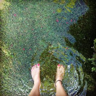 Chelsea Hobbs feet photo 12