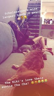 Chelsea Spack feet photo 6