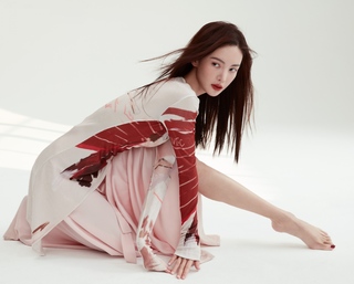 Chen Jin feet photo 12