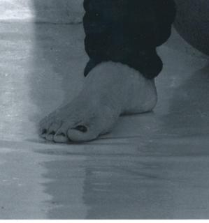 Cher feet photo thumbnail