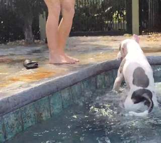 Cheree Crowley feet photo thumbnail