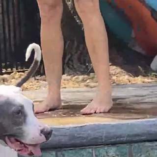 Cheree Crowley feet photo thumbnail