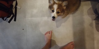 Cherrygumms feet photo 19