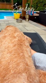 Cheryl Hickey feet photo 20