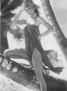 Cheryl Tiegs feet photo 3