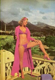 Cheryl Tiegs feet photo 11