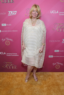 Cheryl Tiegs feet photo 3