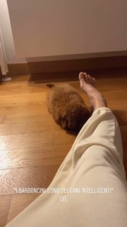 Chiara Carcano feet photo 12