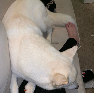 Chilly Jimenez feet photo thumbnail
