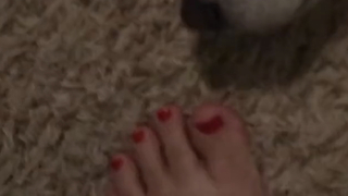 Chilly Jimenez feet photo thumbnail