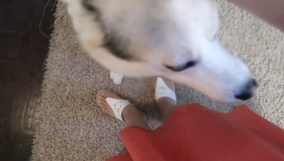 Chilly Jimenez feet photo thumbnail