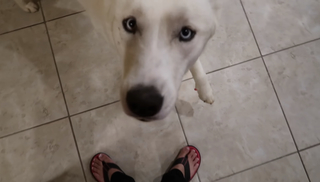 Chilly Jimenez feet photo thumbnail