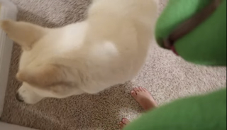 Chilly Jimenez feet photo thumbnail