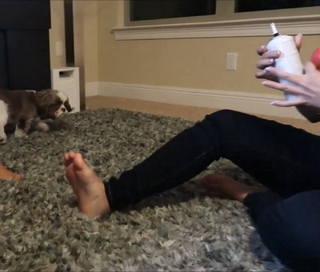 Chilly Jimenez feet photo thumbnail