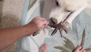 Chilly Jimenez feet photo thumbnail