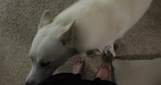 Chilly Jimenez feet photo thumbnail