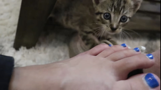 Chilly Jimenez feet photo thumbnail