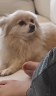 Chilly Jimenez feet photo thumbnail