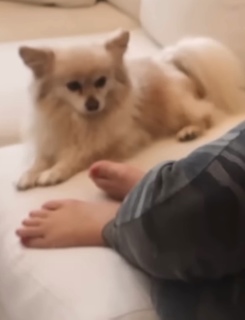 Chilly Jimenez feet photo thumbnail
