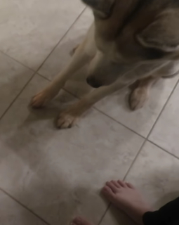 Chilly Jimenez feet photo thumbnail