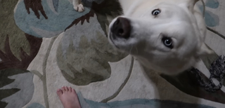 Chilly Jimenez feet photo thumbnail