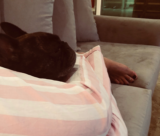 China Suárez feet photo thumbnail