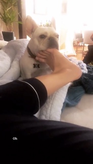 Chloe Bennet feet photo thumbnail