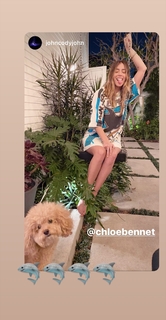 Chloe Bennet feet photo thumbnail