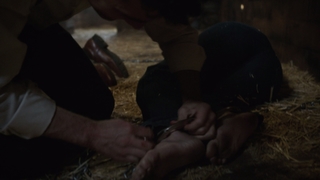 Chloe Bennet feet photo thumbnail