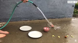 Chloe Fineman feet photo thumbnail