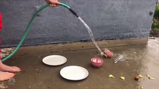 Chloe Fineman feet photo thumbnail