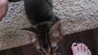 Chloe Lukasiak feet photo 4