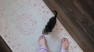 Chloe Lukasiak feet photo 2