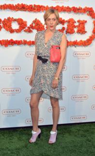 Chloë Sevigny feet photo thumbnail